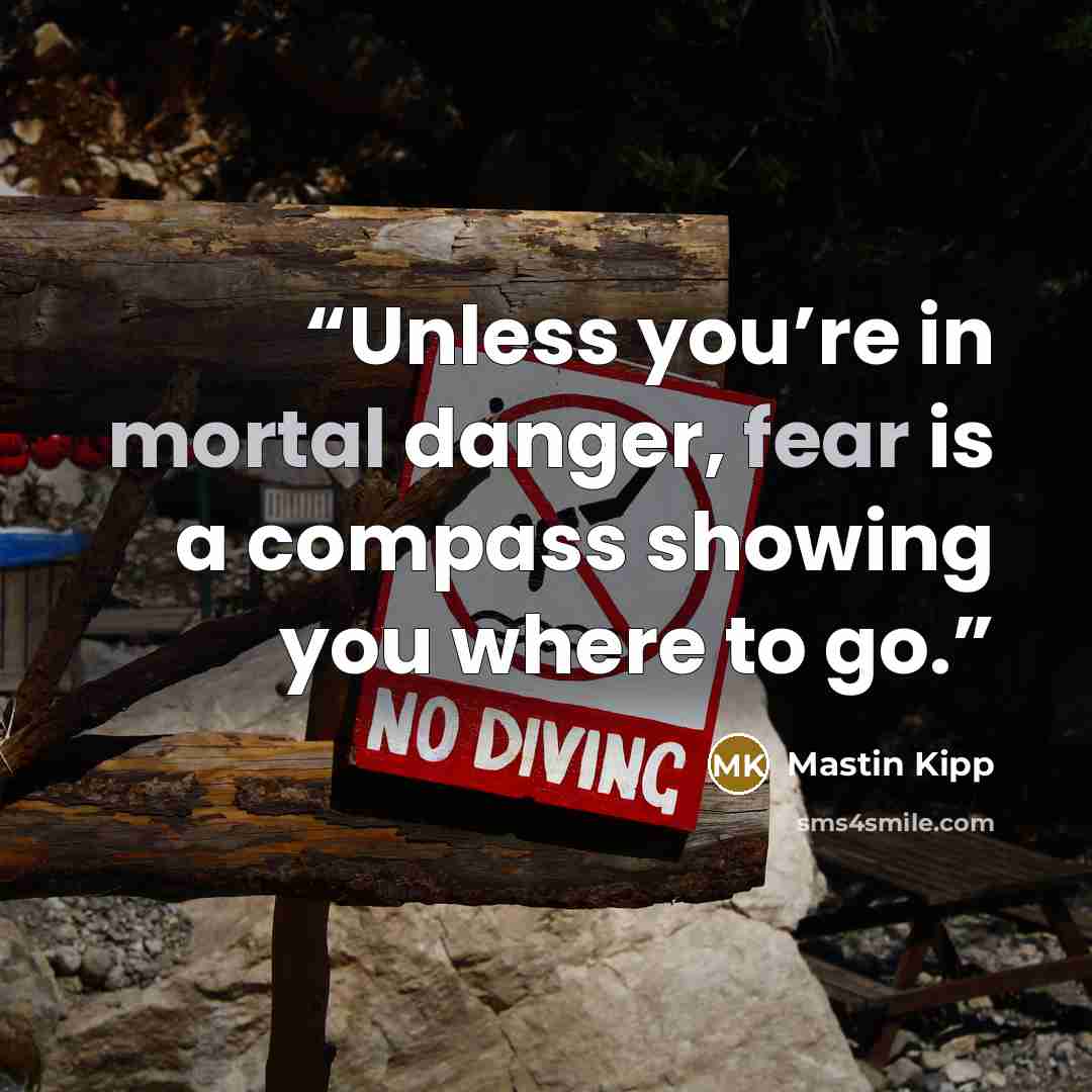 “Unless you’re in mortal danger, fear is a compass showing you where to go.” quote by Mastin Kipp
