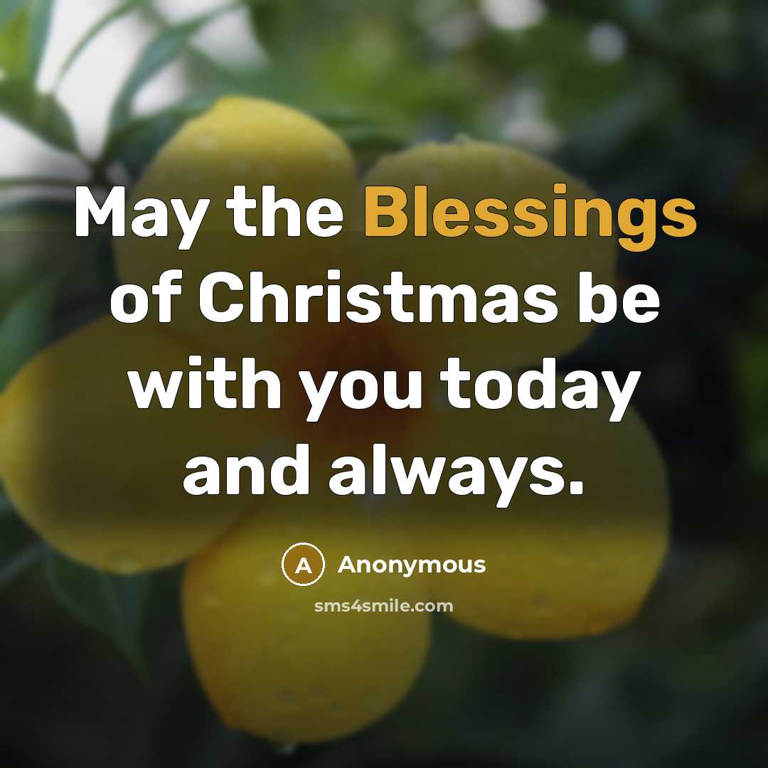 “May the Blessings of Christmas be with you today and always.” quote by Anonymous
