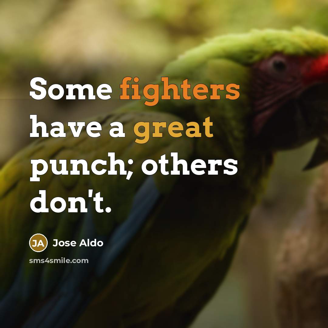 “Some fighters have a great punch; others don't.” quote by Jose Aldo
