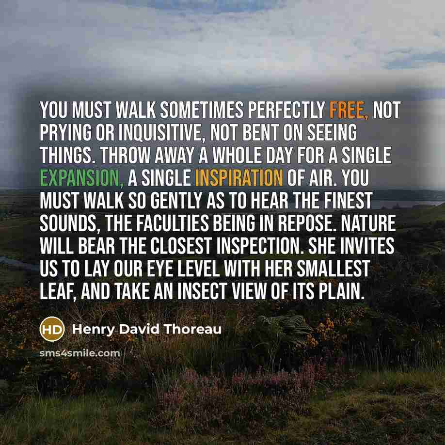 “You must walk sometimes perfectly free, not prying or inquisitive, not bent on seeing things. Throw away a whole day for a single expansion, a single inspiration of air. You must walk so gently as to hear the finest sounds, the faculties being in repose. Nature will bear the closest inspection…” quote by Henry David Thoreau