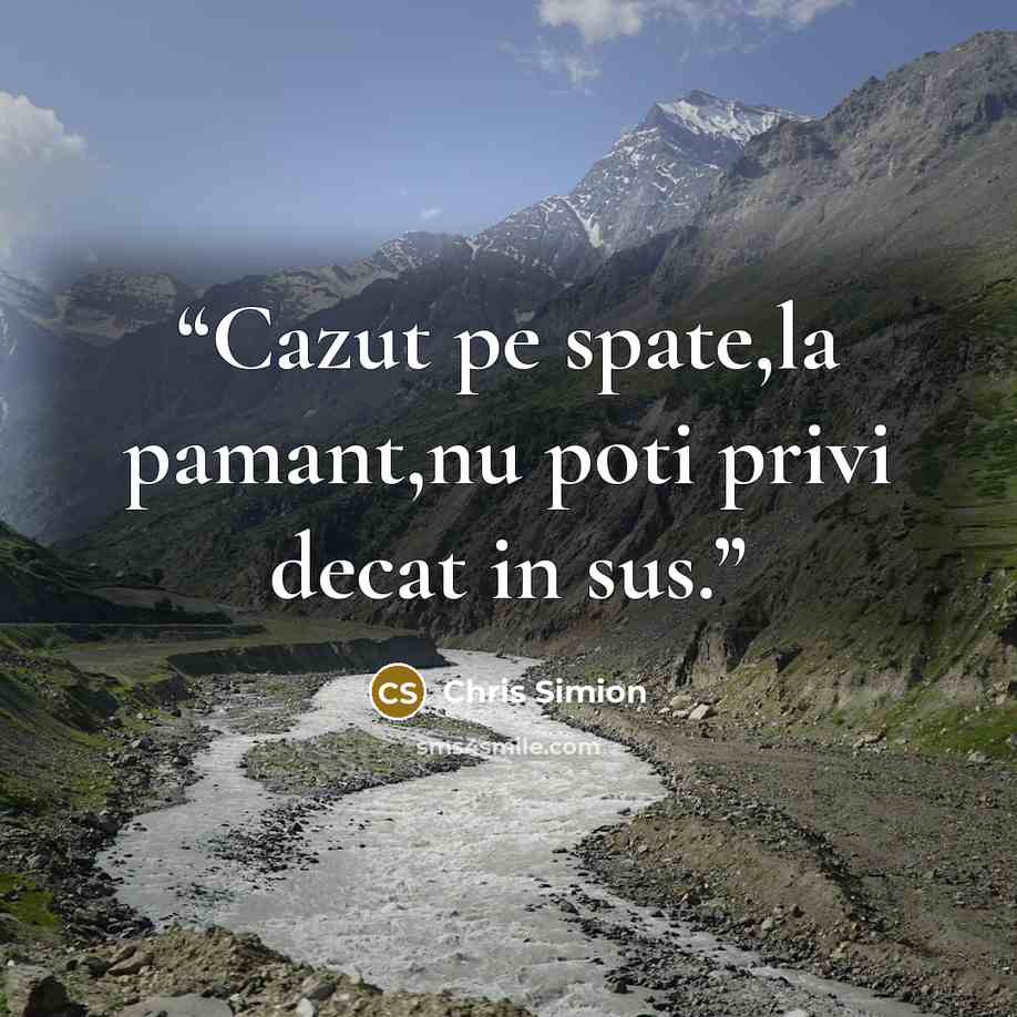 “Cazut pe spate,la pamant,nu poti privi decat in sus.” quote by Chris Simion