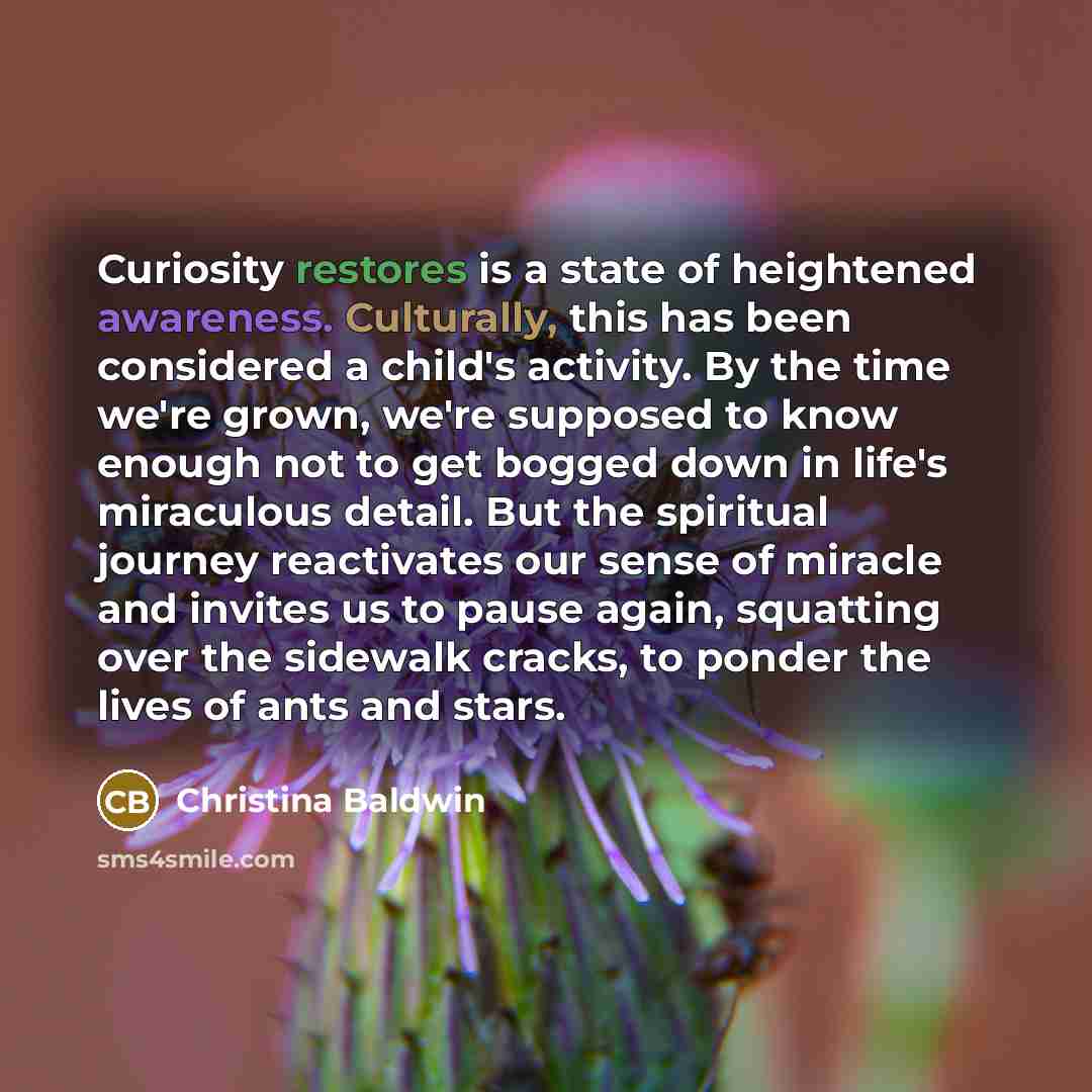 “Curiosity restores is a state of heightened awareness. Culturally, this has been considered a child's activity. By the time we're grown, we're supposed to know enough not to get bogged down in life's miraculous detail. But the spiritual journey reactivates our sense of miracle and invites us to…” quote by Christina Baldwin