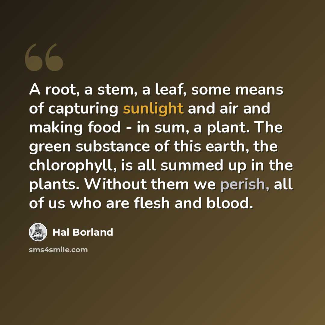 “A root, a stem, a leaf, some means of capturing sunlight and air and making food - in sum, a plant. The green substance of this earth, the chlorophyll, is all summed up in the plants. Without them we perish, all of us who are flesh and blood.” quote by Hal Borland