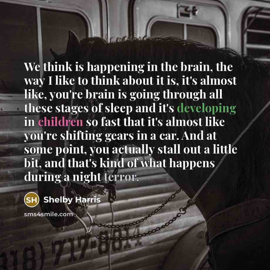 “We think is happening in the brain, the way I like to think about it is, it's almost like, you're brain is going through all these stages of sleep and it's developing in children so fast that it's almost like you're shifting gears in a car. And at some point, you actually stall out a little bit…” quote by Shelby Harris