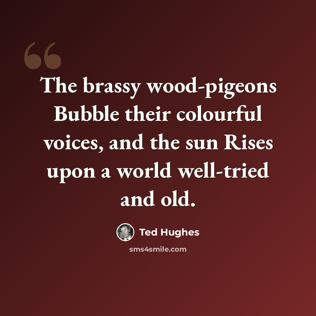 “The brassy wood-pigeons Bubble their colourful voices, and the sun Rises upon a world well-tried and old.” quote by Ted Hughes
