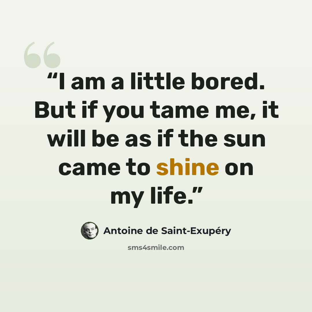 “I am a little bored. But if you tame me, it will be as if the sun came to shine on my life.” quote by Antoine de Saint-Exupéry