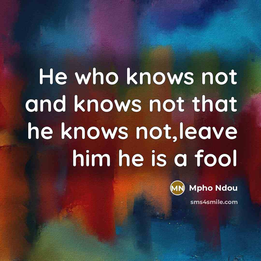 “He who knows not and knows not that he knows not,leave him he is a fool” quote by Mpho Ndou