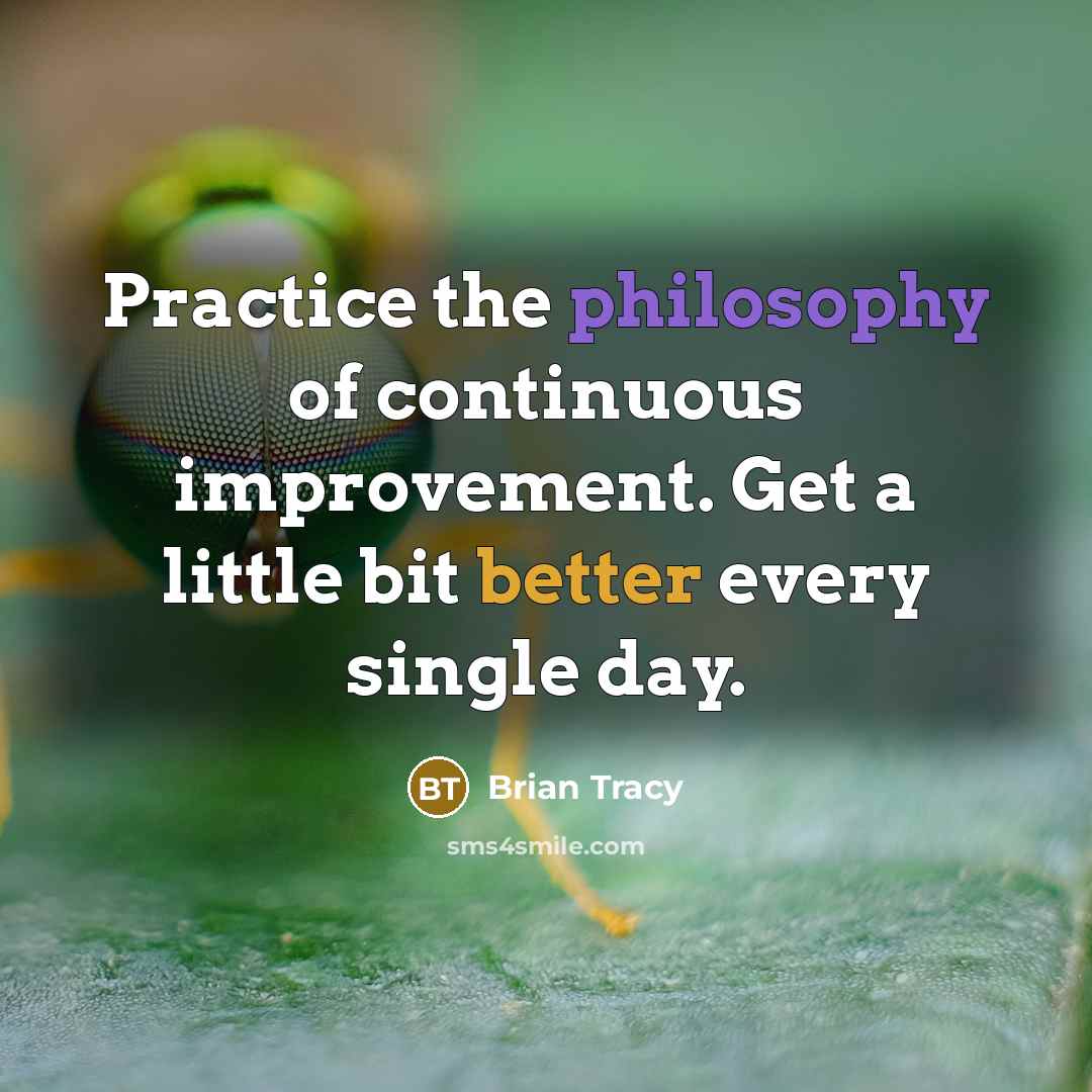 “Practice the philosophy of continuous improvement. Get a little bit better every single day.” quote by Brian Tracy