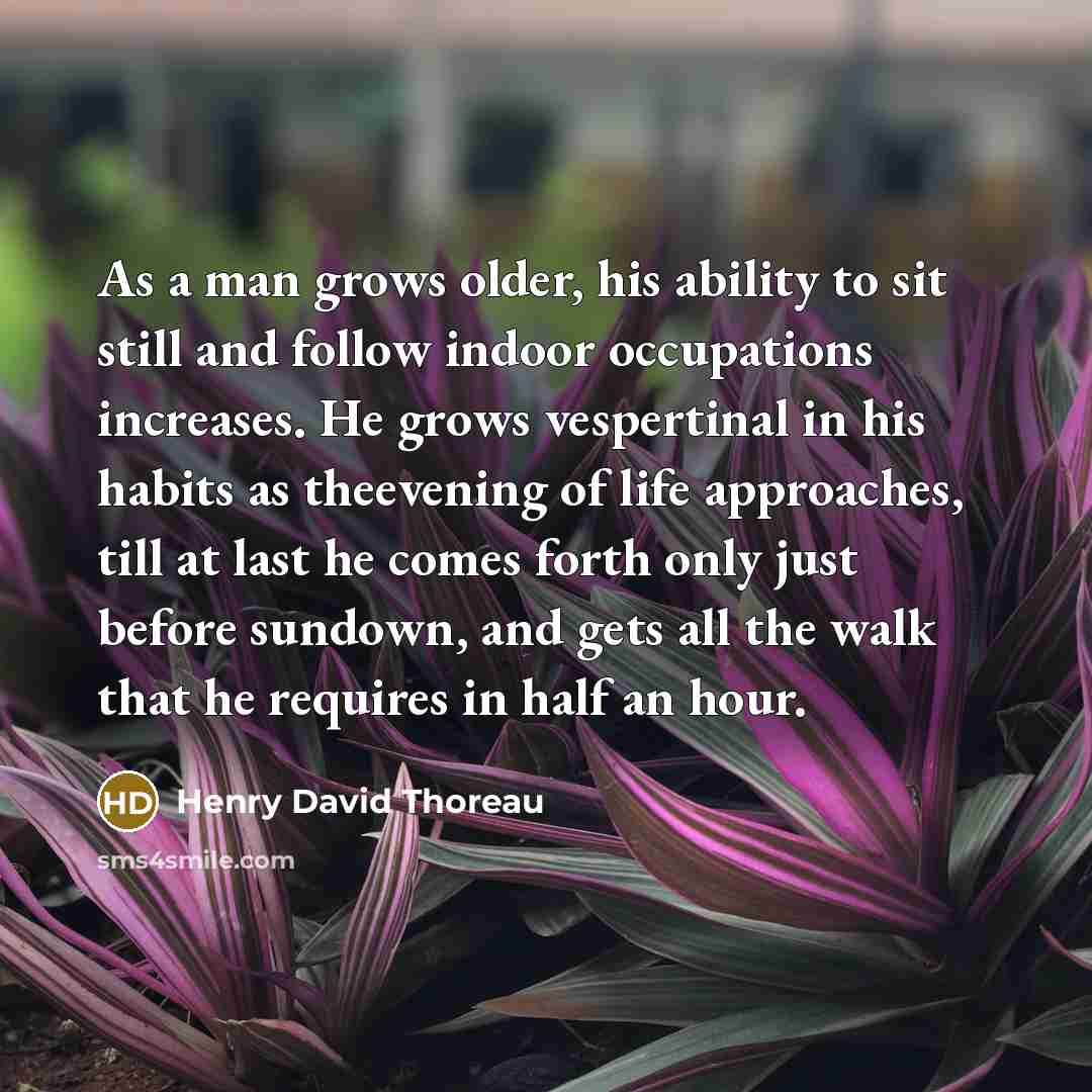 “As a man grows older, his ability to sit still and follow indoor occupations increases. He grows vespertinal in his habits as theevening of life approaches, till at last he comes forth only just before sundown, and gets all the walk that he requires in half an hour.” quote by Henry David Thoreau