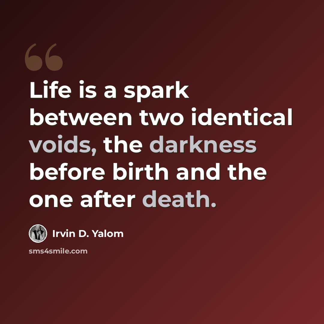 “Life is a spark between two identical voids, the darkness before birth and the one after death.” quote by Irvin D. Yalom