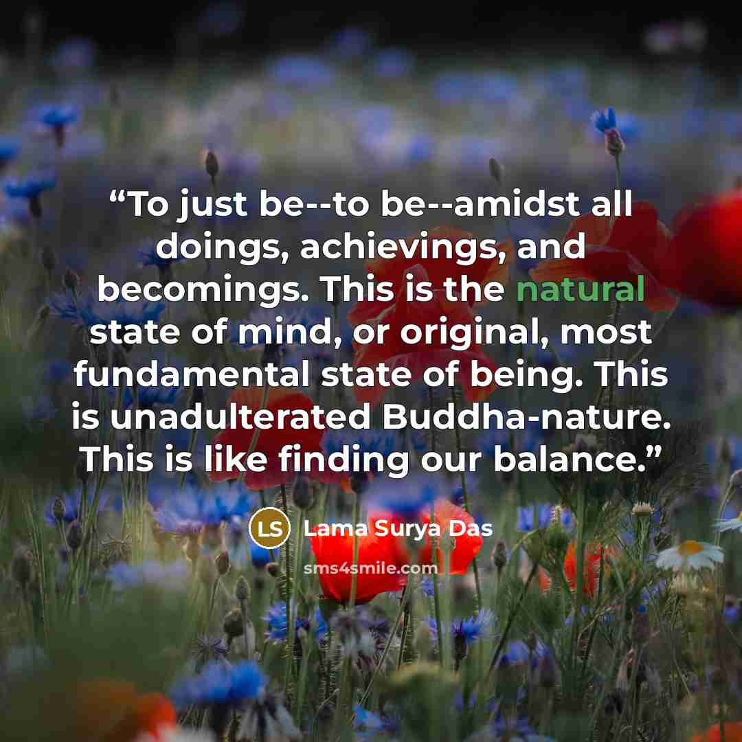 “To just be--to be--amidst all doings, achievings, and becomings. This is the natural state of mind, or original, most fundamental state of being. This is unadulterated Buddha-nature. This is like finding our balance.” quote by Lama Surya Das