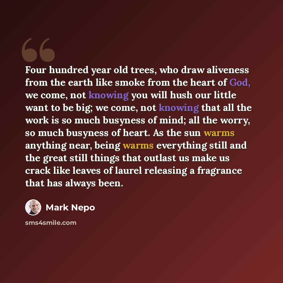 “Four hundred year old trees, who draw aliveness from the earth like smoke from the heart of God, we come, not knowing you will hush our little want to be big; we come, not knowing that all the work is so much busyness of mind; all the worry, so much busyness of heart. As the sun warms anything…” quote by Mark Nepo