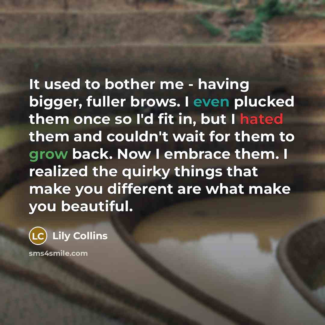 “It used to bother me - having bigger, fuller brows. I even plucked them once so I'd fit in, but I hated them and couldn't wait for them to grow back. Now I embrace them. I realized the quirky things that make you different are what make you beautiful.” quote by Lily Collins