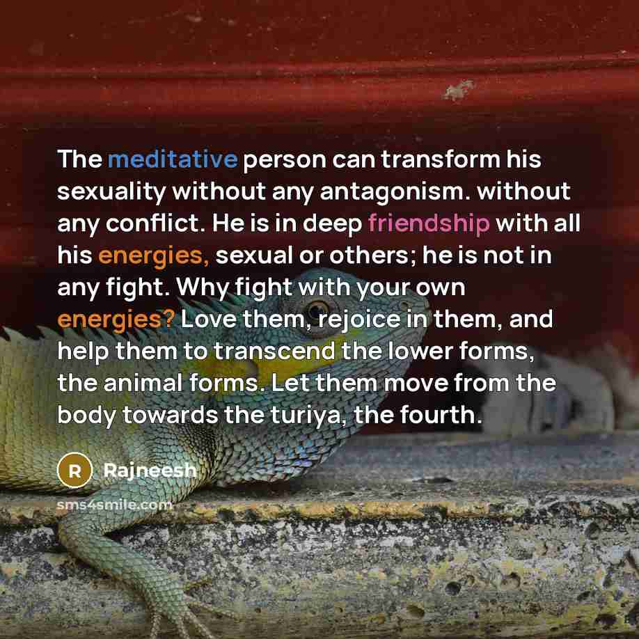 “The meditative person can transform his sexuality without any antagonism. without any conflict. He is in deep friendship with all his energies, sexual or others; he is not in any fight. Why fight with your own energies? Love them, rejoice in them, and help them to transcend the lower forms, the…” quote by Rajneesh