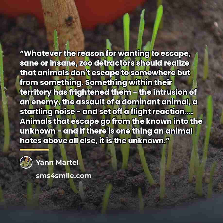 “Whatever the reason for wanting to escape, sane or insane, zoo detractors should realize that animals don't escape to somewhere but from something. Something within their territory has frightened them - the intrusion of an enemy, the assault of a dominant animal, a startling noise - and set off a…” quote by Yann Martel