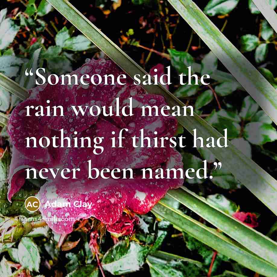 “Someone said the rain would mean nothing if thirst had never been named.” quote by Adam Clay