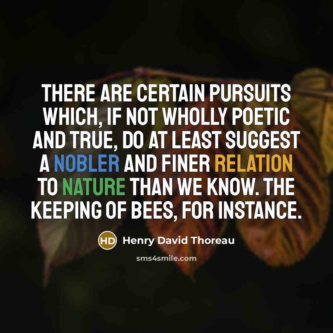 “There are certain pursuits which, if not wholly poetic and true, do at least suggest a nobler and finer relation to nature than we know. The keeping of bees, for instance.” quote by Henry David Thoreau