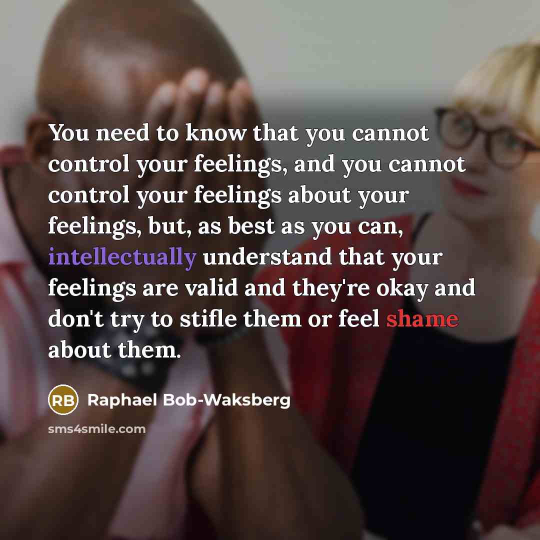 “You need to know that you cannot control your feelings, and you cannot control your feelings about your feelings, but, as best as you can, intellectually understand that your feelings are valid and they're okay and don't try to stifle them or feel shame about them.” quote by Raphael Bob-Waksberg
