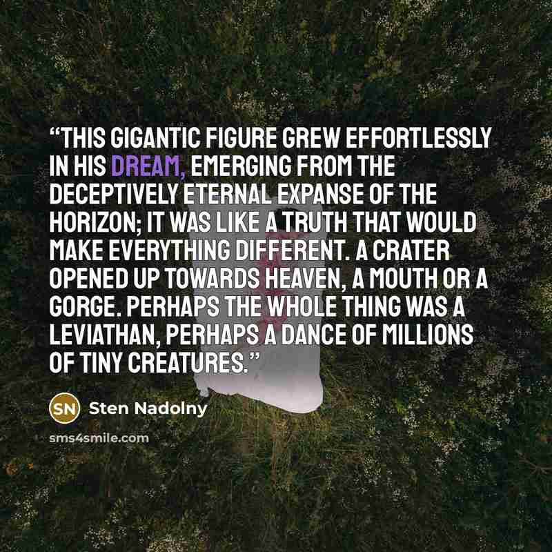 “This gigantic figure grew effortlessly in his dream, emerging from the deceptively eternal expanse of the horizon; it was like a truth that would make everything different. A crater opened up towards heaven, a mouth or a gorge. Perhaps the whole thing was a leviathan, perhaps a dance of millions…” quote by Sten Nadolny