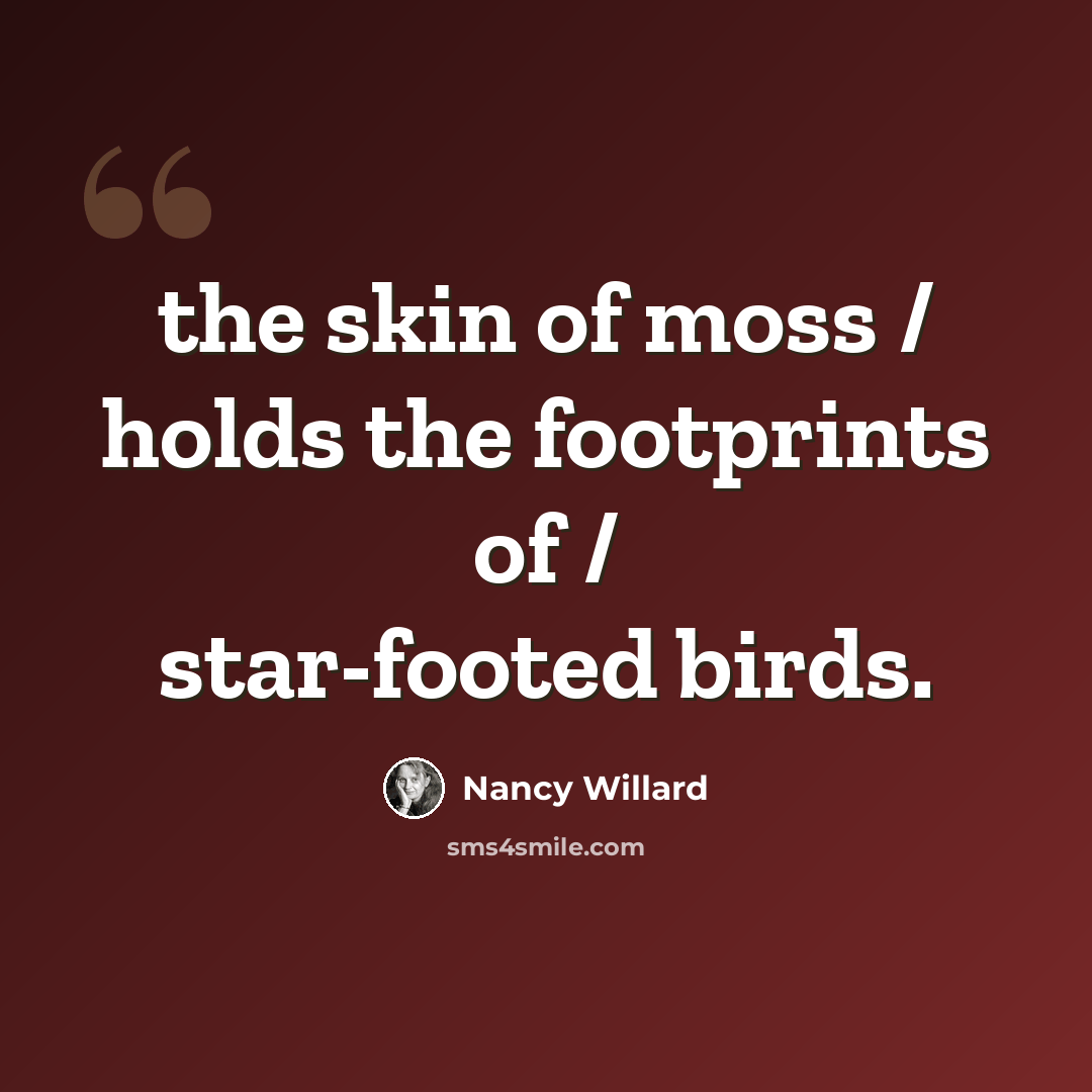 “the skin of moss / holds the footprints of / star-footed birds.” quote by Nancy Willard