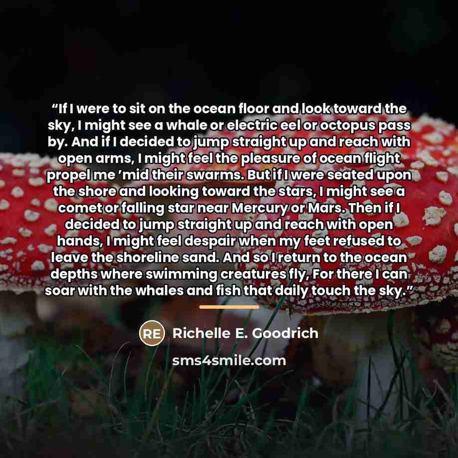 “If I were to sit on the ocean floor and look toward the sky, I might see a whale or electric eel or octopus pass by. And if I decided to jump straight up and reach with open arms, I might feel the pleasure of ocean flight propel me ’mid their swarms. But if I were seated upon the shore and looking…” quote by Richelle E. Goodrich