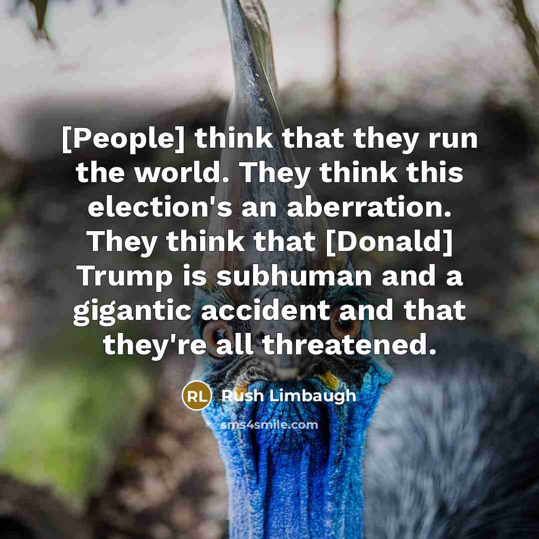 “[People] think that they run the world. They think this election's an aberration. They think that [Donald] Trump is subhuman and a gigantic accident and that they're all threatened.” quote by Rush Limbaugh