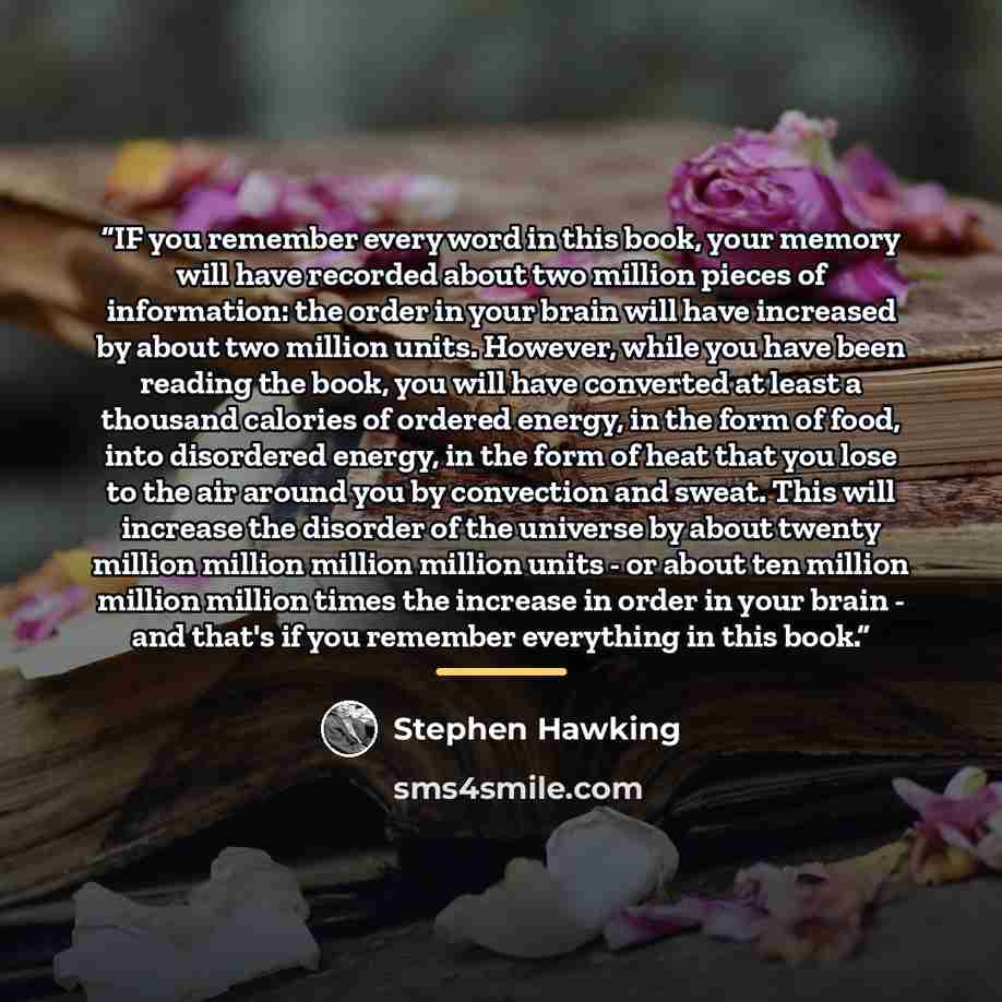 “IF you remember every word in this book, your memory will have recorded about two million pieces of information: the order in your brain will have increased by about two million units. However, while you have been reading the book, you will have converted at least a thousand calories of ordered…” quote by Stephen Hawking