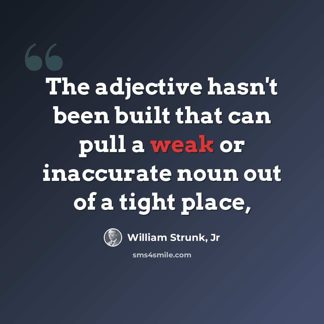“The adjective hasn't been built that can pull a weak or inaccurate noun out of a tight place,” quote by William Strunk, Jr