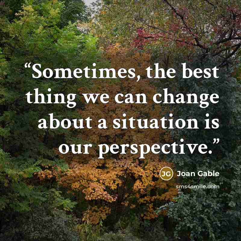 “Sometimes, the best thing we can change about a situation is our perspective.” quote by Joan Gable