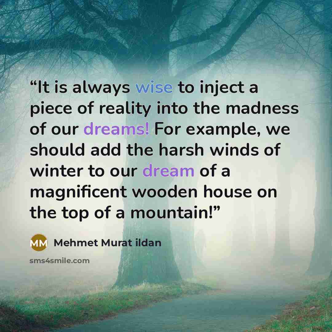 “It is always wise to inject a piece of reality into the madness of our dreams! For example, we should add the harsh winds of winter to our dream of a magnificent wooden house on the top of a mountain!” quote by Mehmet Murat ildan