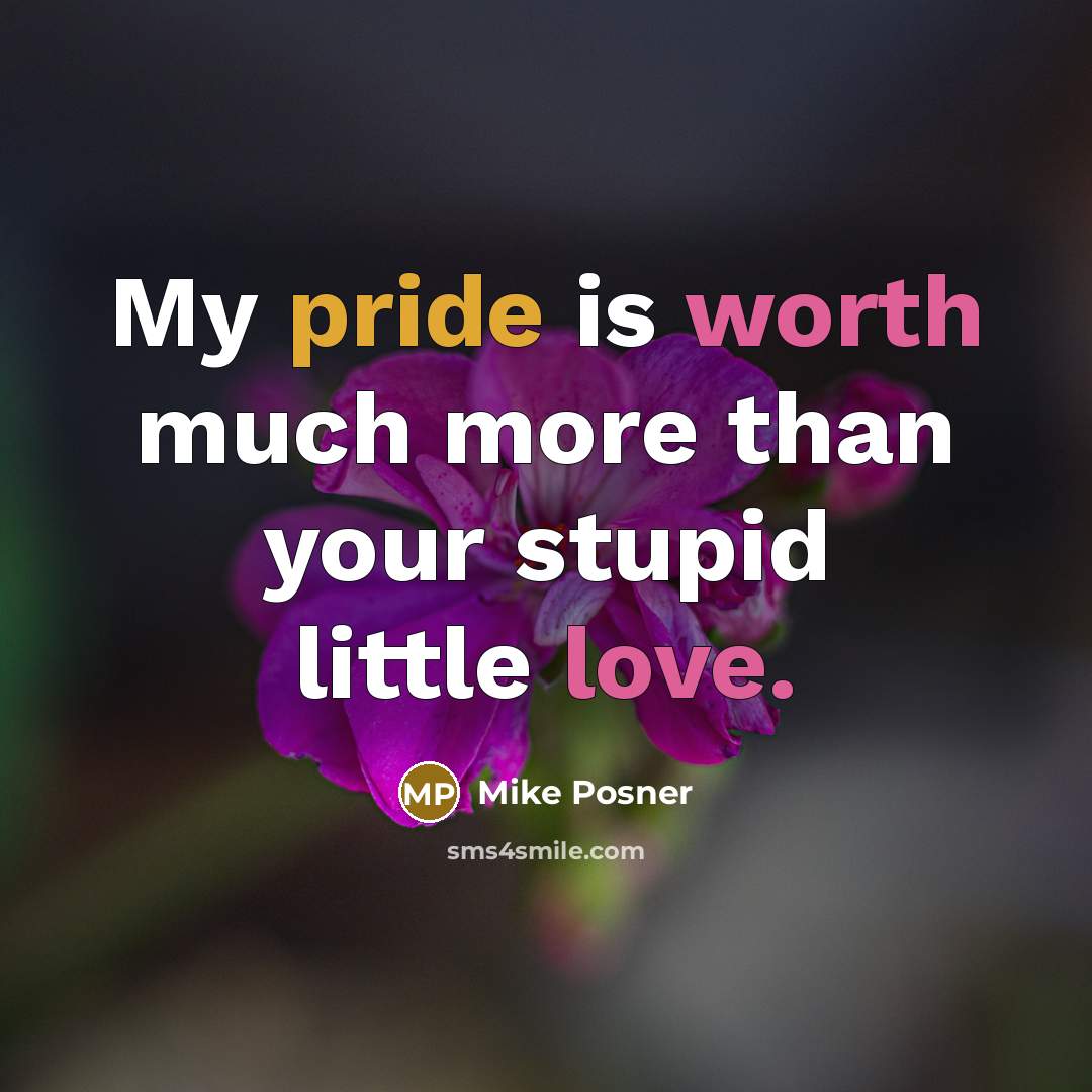 “My pride is worth much more than your stupid little love.” quote by Mike Posner