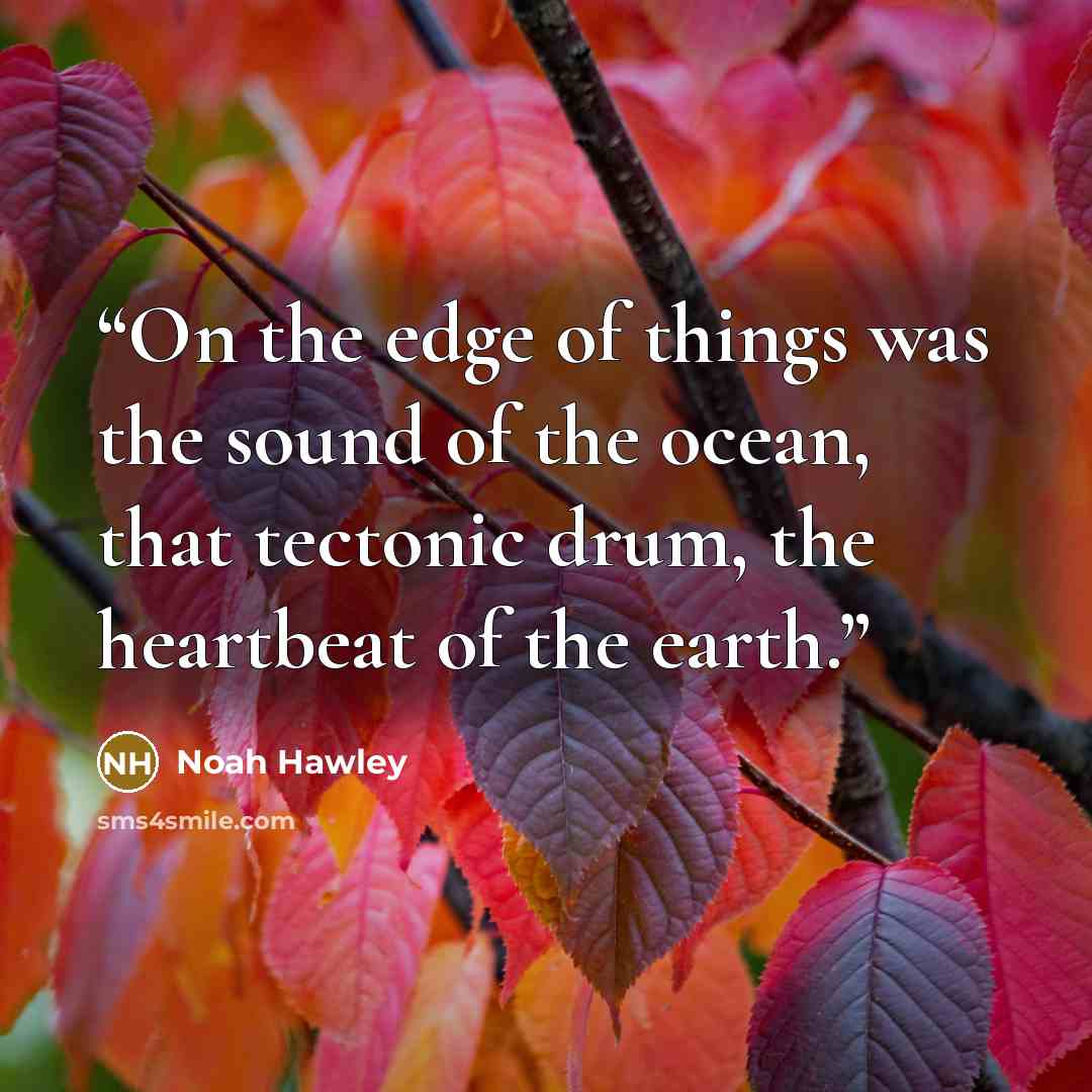 “On the edge of things was the sound of the ocean, that tectonic drum, the heartbeat of the earth.” quote by Noah Hawley