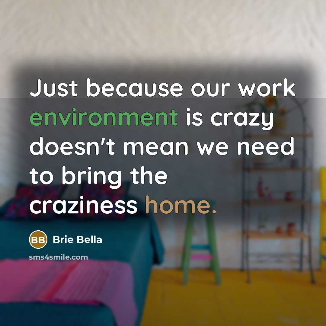 “Just because our work environment is crazy doesn't mean we need to bring the craziness home.” quote by Brie Bella