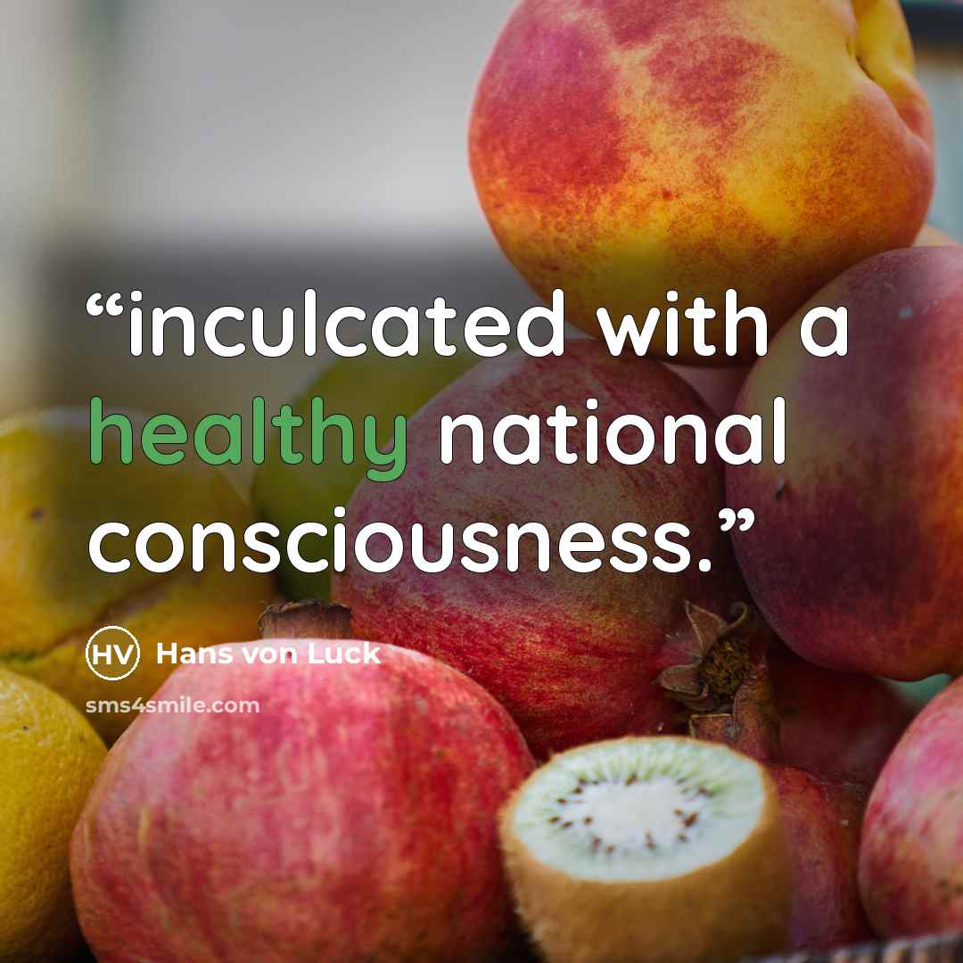 “inculcated with a healthy national consciousness.” quote by Hans von Luck