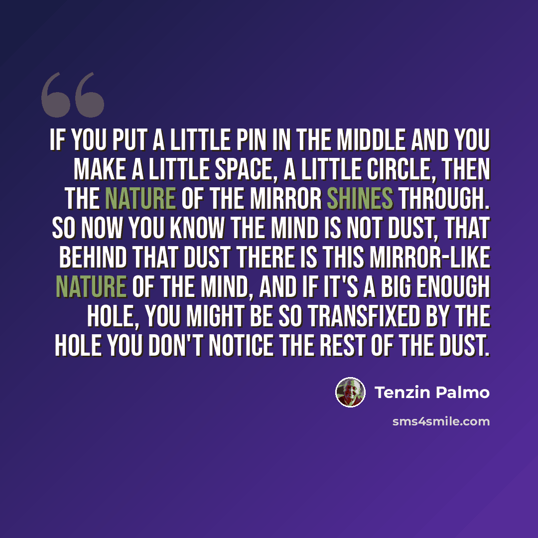 “If you put a little pin in the middle and you make a little space, a little circle, then the nature of the mirror shines through. So now you know the mind is not dust, that behind that dust there is this mirror-like nature of the mind, and if it's a big enough hole, you might be so transfixed by…” quote by Tenzin Palmo