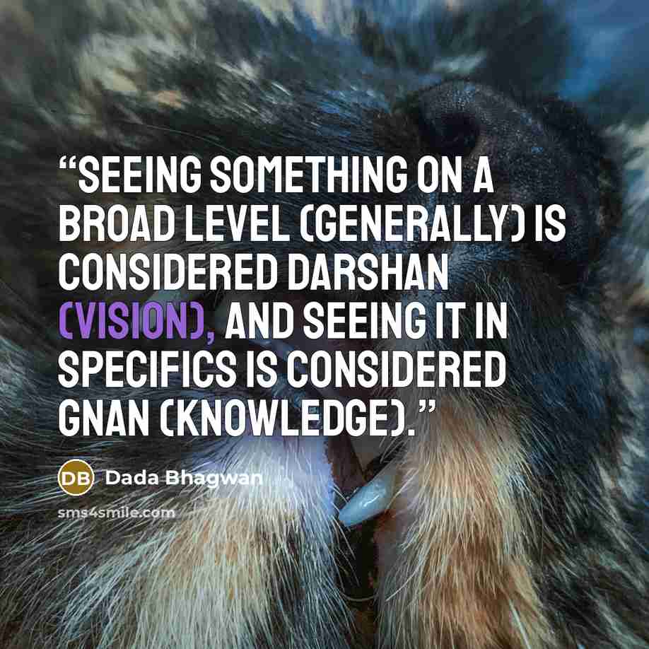“Seeing something on a broad level (generally) is considered darshan (vision), and seeing it in specifics is considered Gnan (knowledge).” quote by Dada Bhagwan