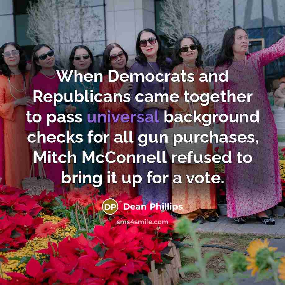 “When Democrats and Republicans came together to pass universal background checks for all gun purchases, Mitch McConnell refused to bring it up for a vote.” quote by Dean Phillips