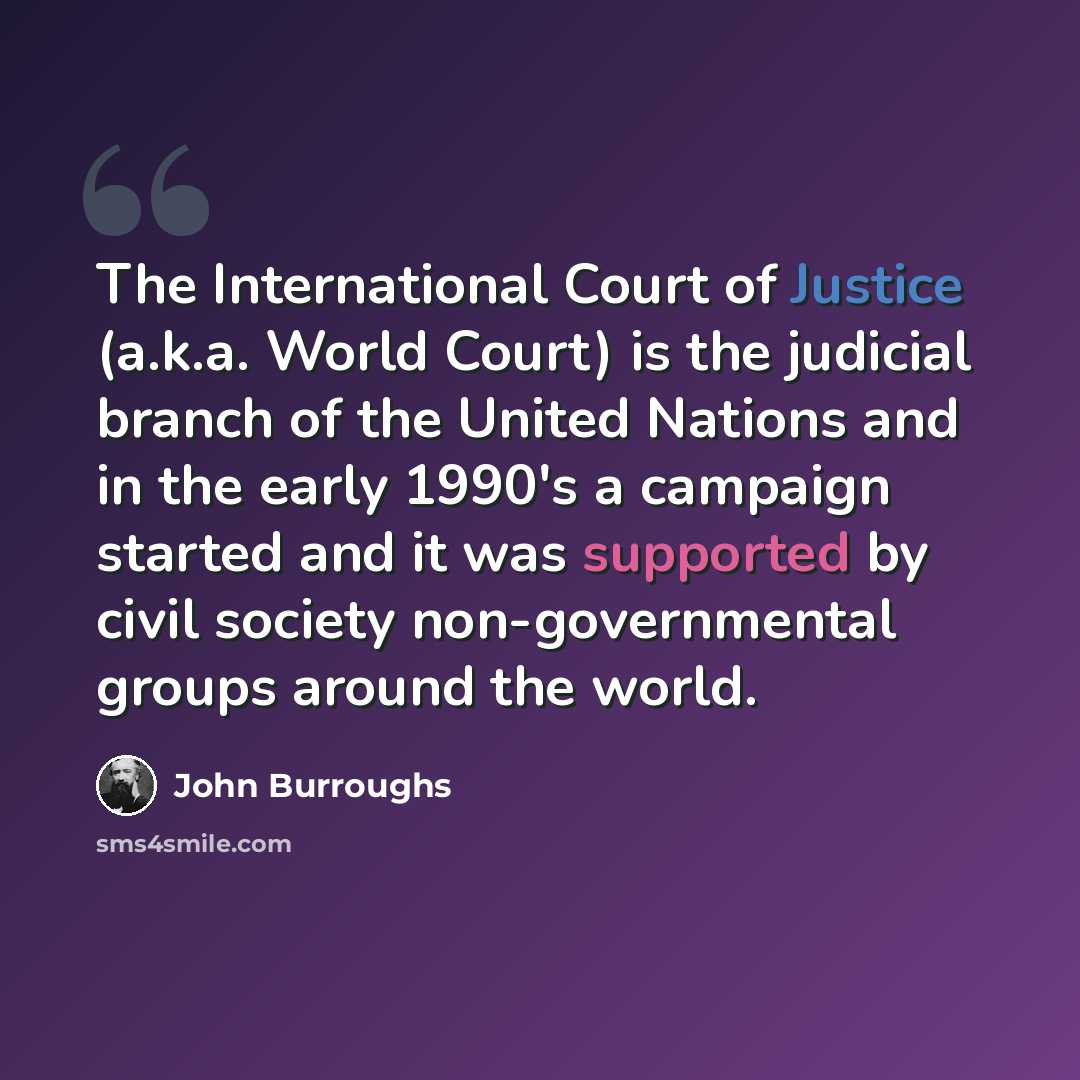“The International Court of Justice (a.k.a. World Court) is the judicial branch of the United Nations and in the early 1990's a campaign started and it was supported by civil society non-governmental groups around the world.” quote by John Burroughs