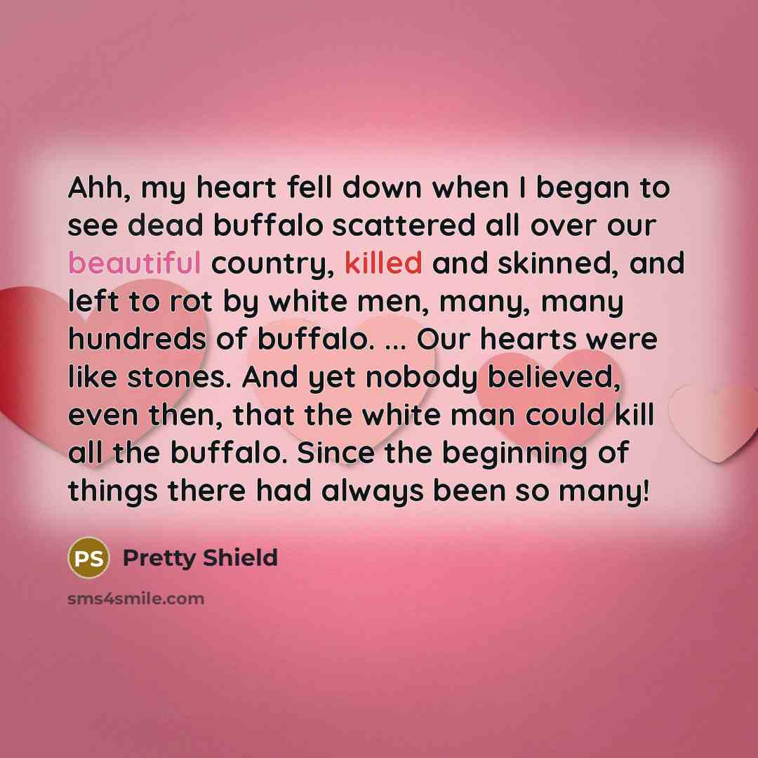 “Ahh, my heart fell down when I began to see dead buffalo scattered all over our beautiful country, killed and skinned, and left to rot by white men, many, many hundreds of buffalo. ... Our hearts were like stones. And yet nobody believed, even then, that the white man could kill all the buffalo…” quote by Pretty Shield