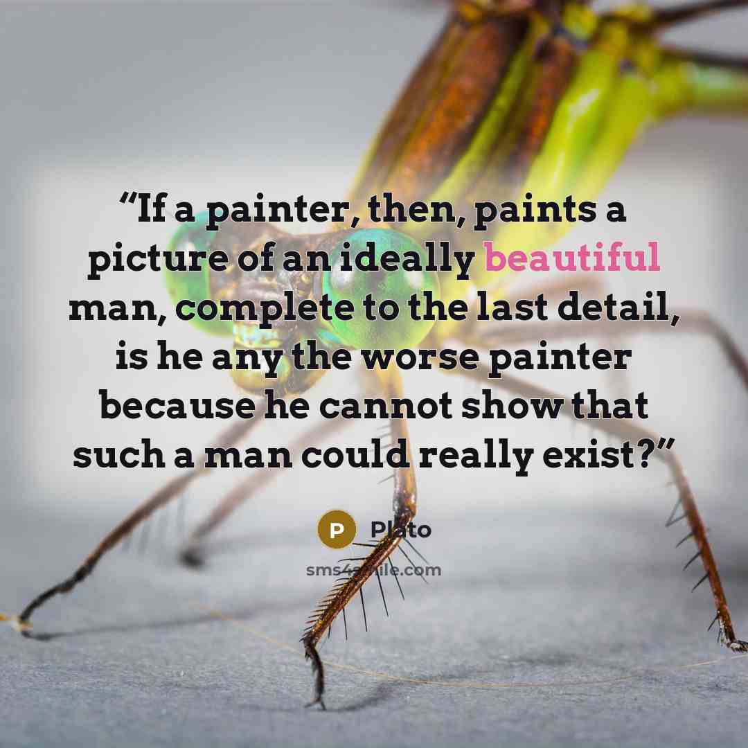 “If a painter, then, paints a picture of an ideally beautiful man, complete to the last detail, is he any the worse painter because he cannot show that such a man could really exist?” quote by Plato
