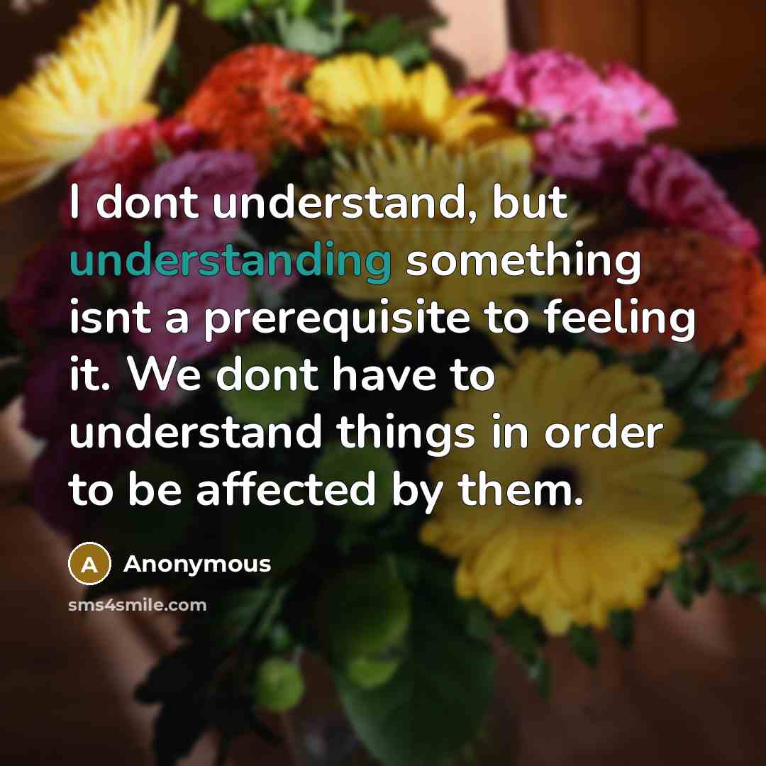 “I dont understand, but understanding something isnt a prerequisite to feeling it. We dont have to understand things in order to be affected by them.” quote by Anonymous