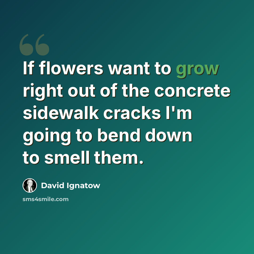“If flowers want to grow right out of the concrete sidewalk cracks I'm going to bend down to smell them.” quote by David Ignatow