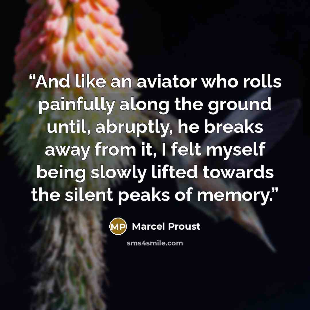 “And like an aviator who rolls painfully along the ground until, abruptly, he breaks away from it, I felt myself being slowly lifted towards the silent peaks of memory.” quote by Marcel Proust
