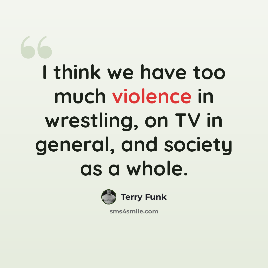 “I think we have too much violence in wrestling, on TV in general, and society as a whole.” quote by Terry Funk