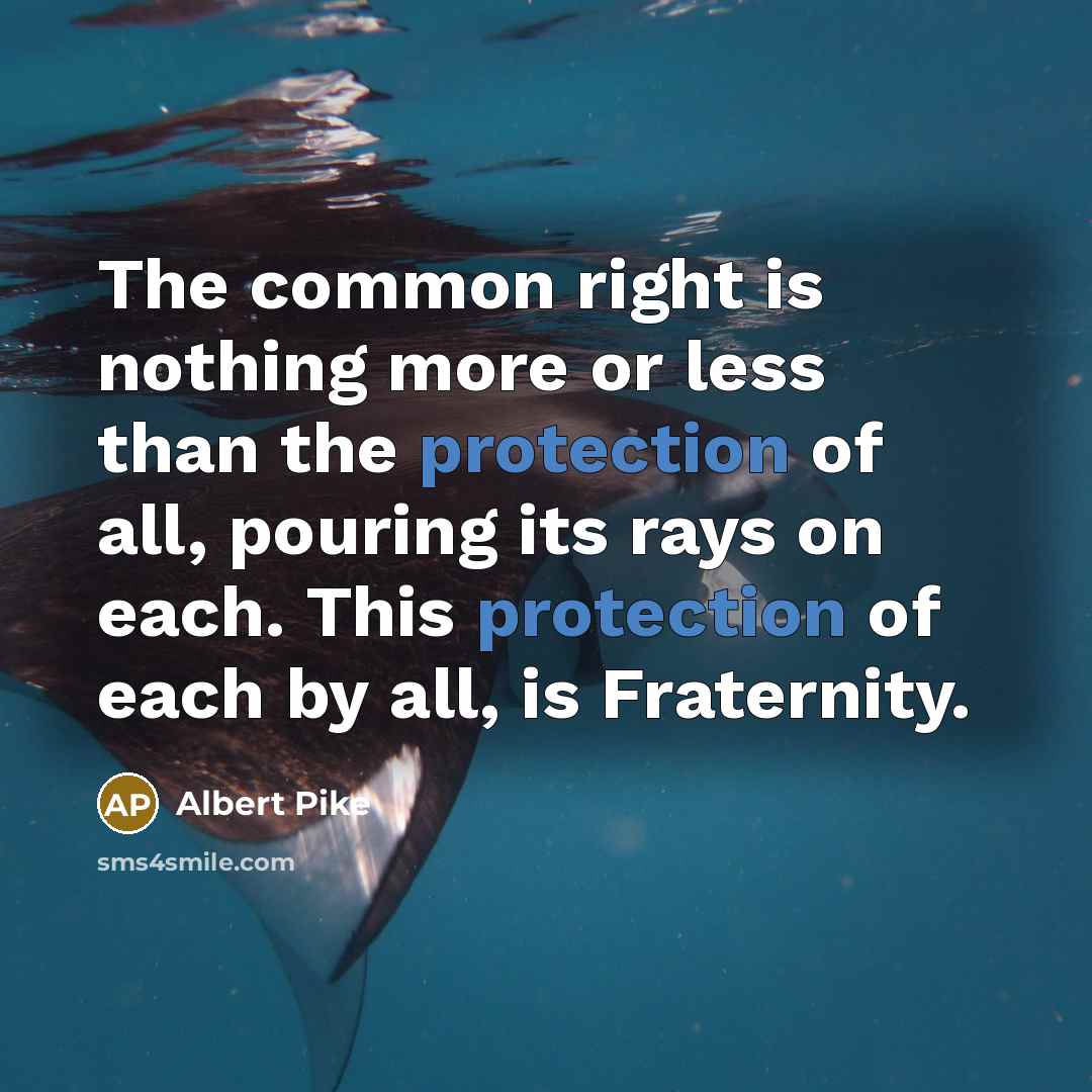 “The common right is nothing more or less than the protection of all, pouring its rays on each. This protection of each by all, is Fraternity.” quote by Albert Pike
