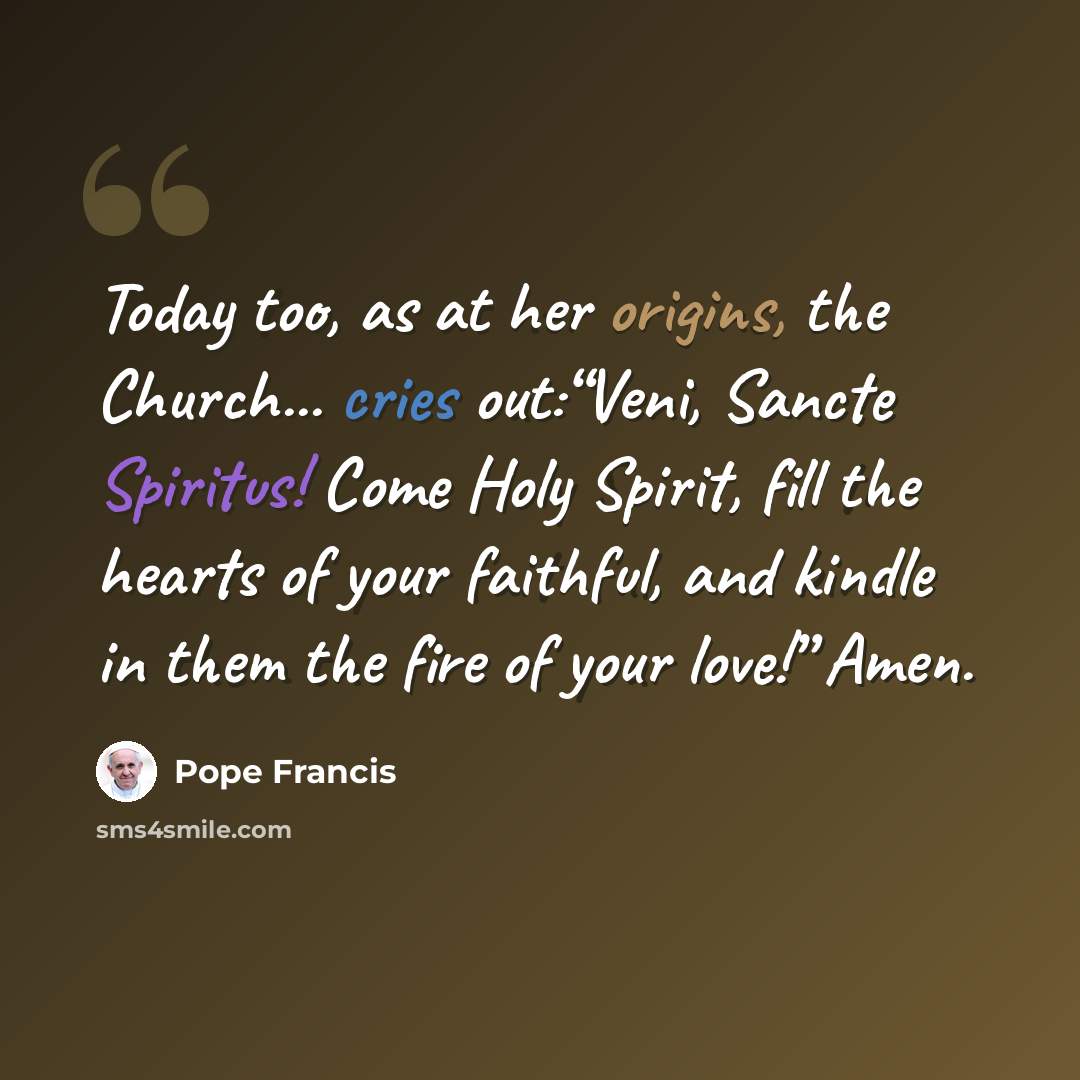 “Today too, as at her origins, the Church... cries out:“Veni, Sancte Spiritus! Come Holy Spirit, fill the hearts of your faithful, and kindle in them the fire of your love!” Amen.” quote by Pope Francis