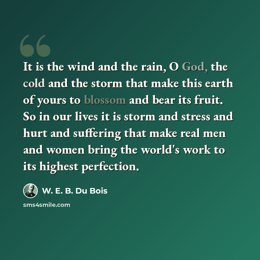 “It is the wind and the rain, O God, the cold and the storm that make this earth of yours to blossom and bear its fruit. So in our lives it is storm and stress and hurt and suffering that make real men and women bring the world's work to its highest perfection.” quote by W. E. B. Du Bois