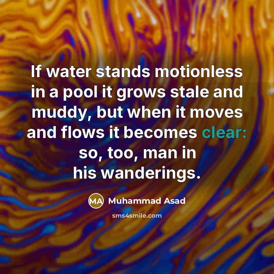 “If water stands motionless in a pool it grows stale and muddy, but when it moves and flows it becomes clear: so, too, man in his wanderings.” quote by Muhammad Asad