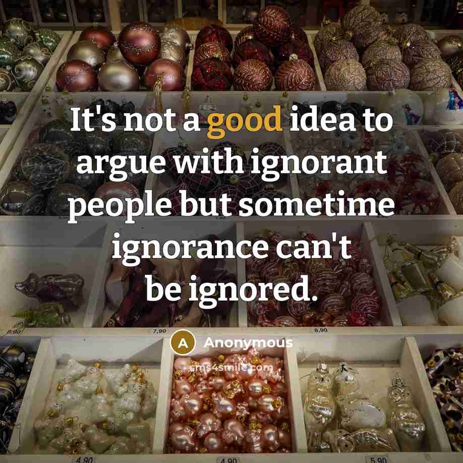 “It's not a good idea to argue with ignorant people but sometime ignorance can't be ignored.” quote by Anonymous