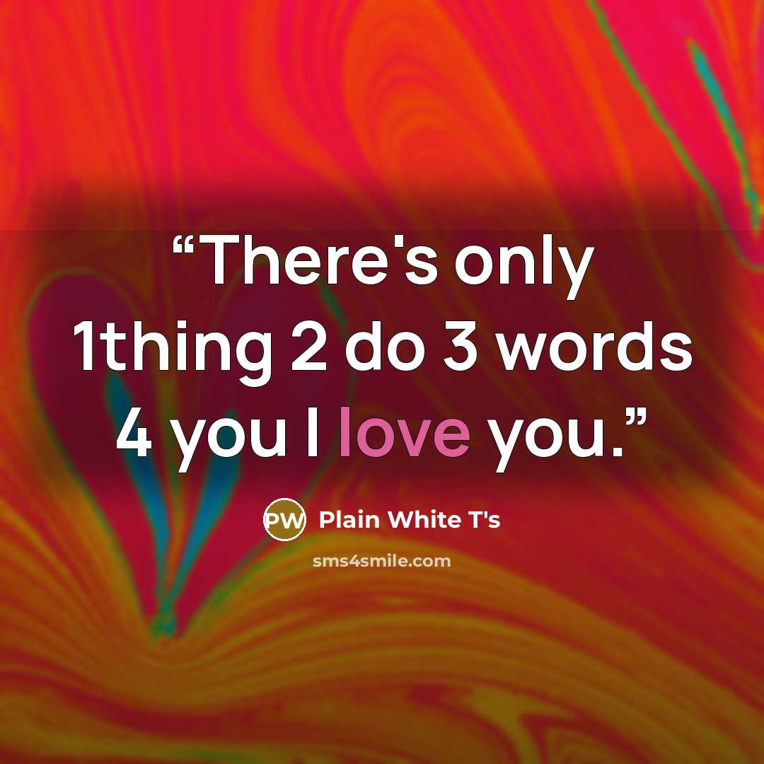 “There's only 1thing 2 do 3 words 4 you I love you.” quote by Plain White T's